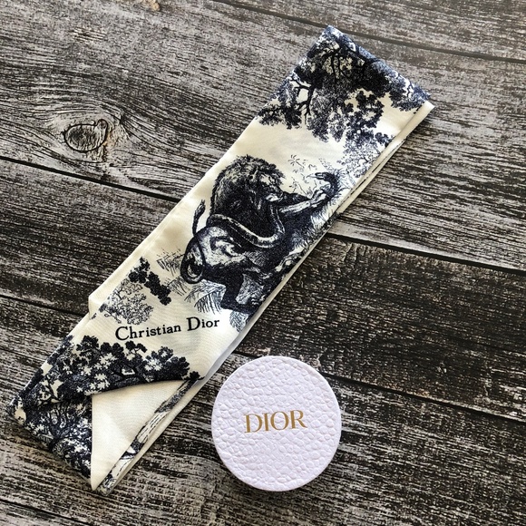 Dior Twilly Scarf - Picture 1 of 4